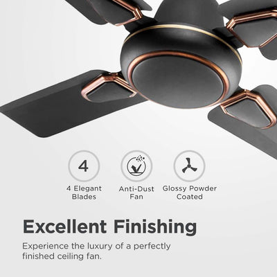 Candes Brio Turbo 600 mm /24 inch Small Ceiling Fans for Home | High Speed, Energy Saver, Noiseless | Small Ceiling Fan for Home, Kitchen Fan, Balcony & Small Room | 2 Yr Warranty | Smoke Brown