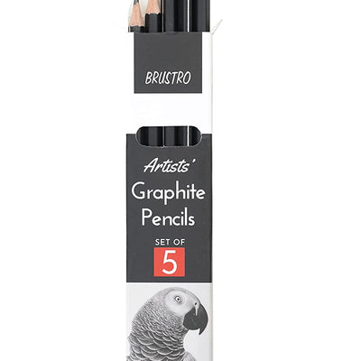 BRUSTRO ARTISTS’ FINEART GRAPHITE PENCIL SET OF 5