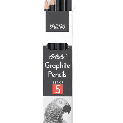 BRUSTRO Graphite Pencil set of 5 (2B, 4B, 6B, 8B, 10B) with Artists Sketch Book Wiro Bound A5 Size (14.8 CM x 21 CM), 116 Pages,160 GSM (Acid Free) and ECO PVC dust Free Erasers (2 Pcs)