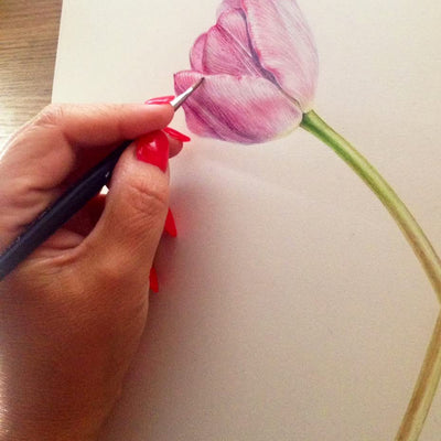 Brustro Artists' Watercolour paper 25% cotton HP 300 Gsm 56 x 76 cm (10 Sheets)