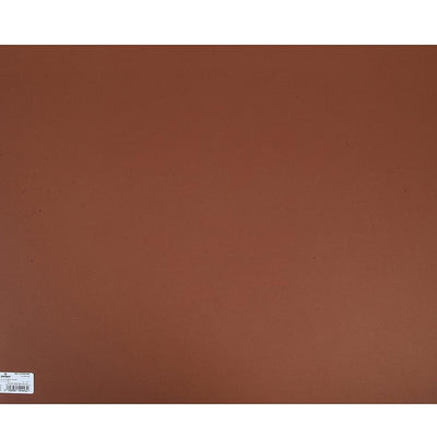 Canson Colorline 300 GSM Grainy 50 x 65 cm Coloured Drawing Paper Sheets(Nut, 10 Sheets)