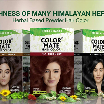 Color Mate No Ammonia Hair Color, 150g (9.1 Natural Black)