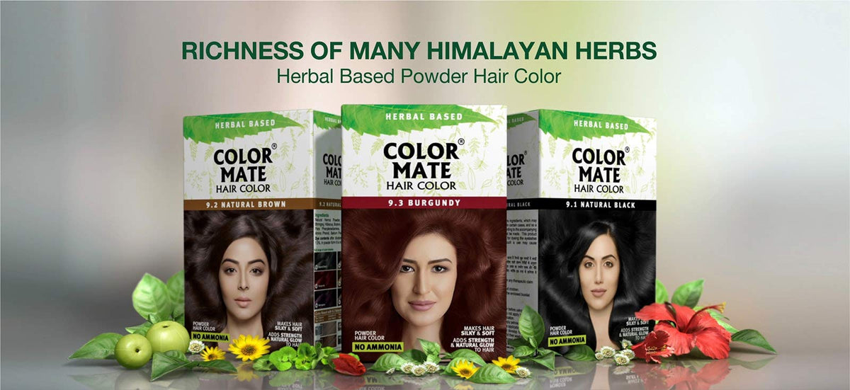 Color Mate No Ammonia Hair Color, 150g (9.1 Natural Black)