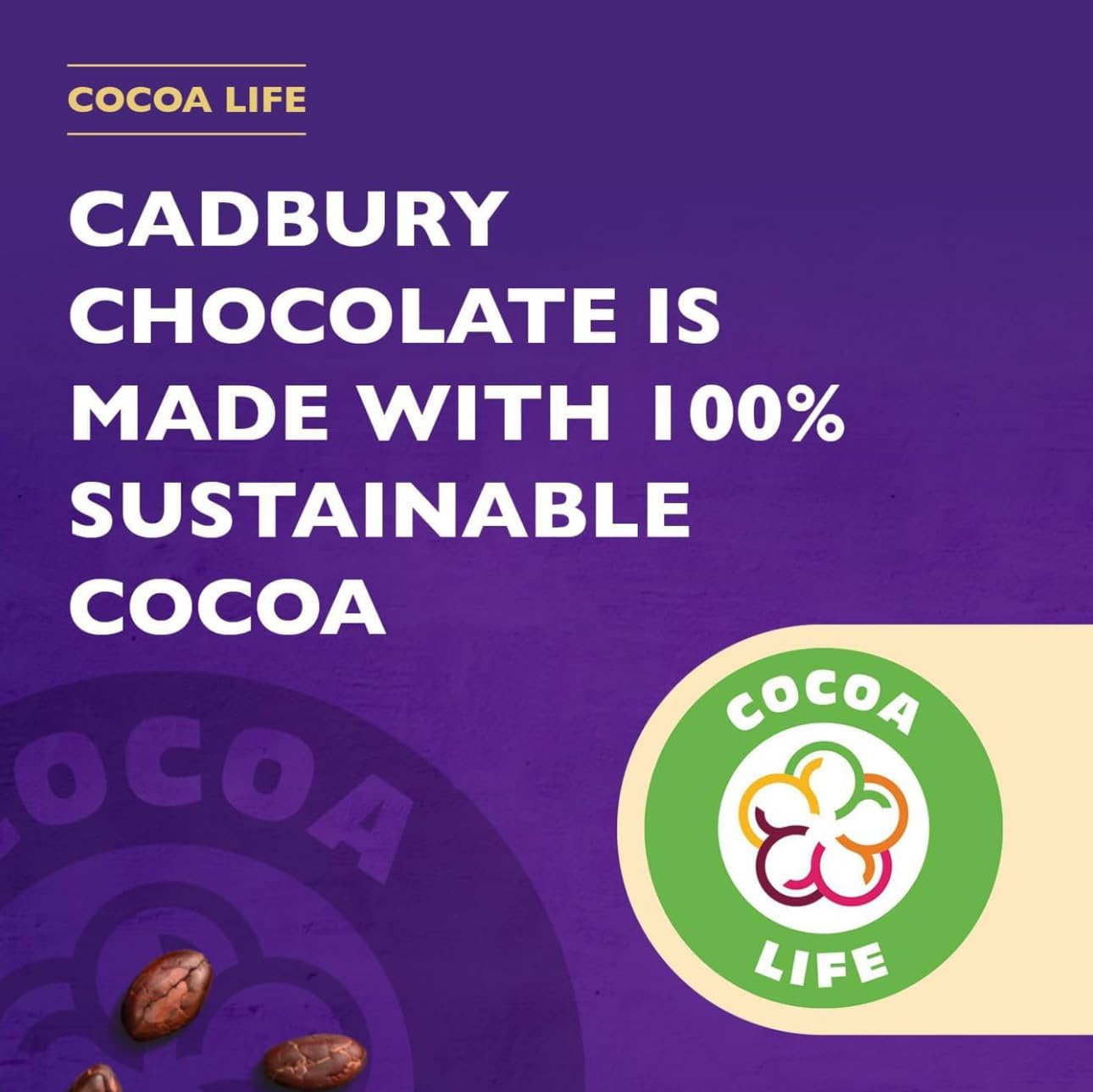 Cadbury Drinking Chocolate, 500 G