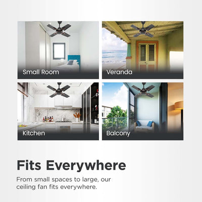 Candes Brio Turbo 600 mm /24 inch Small Ceiling Fans for Home | High Speed, Energy Saver, Noiseless | Small Ceiling Fan for Home, Kitchen Fan, Balcony & Small Room | 2 Yr Warranty | Smoke Brown