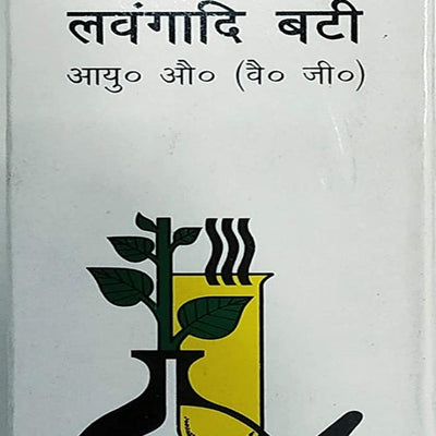 Baidyanath Lawangadi Bati 40 Tab