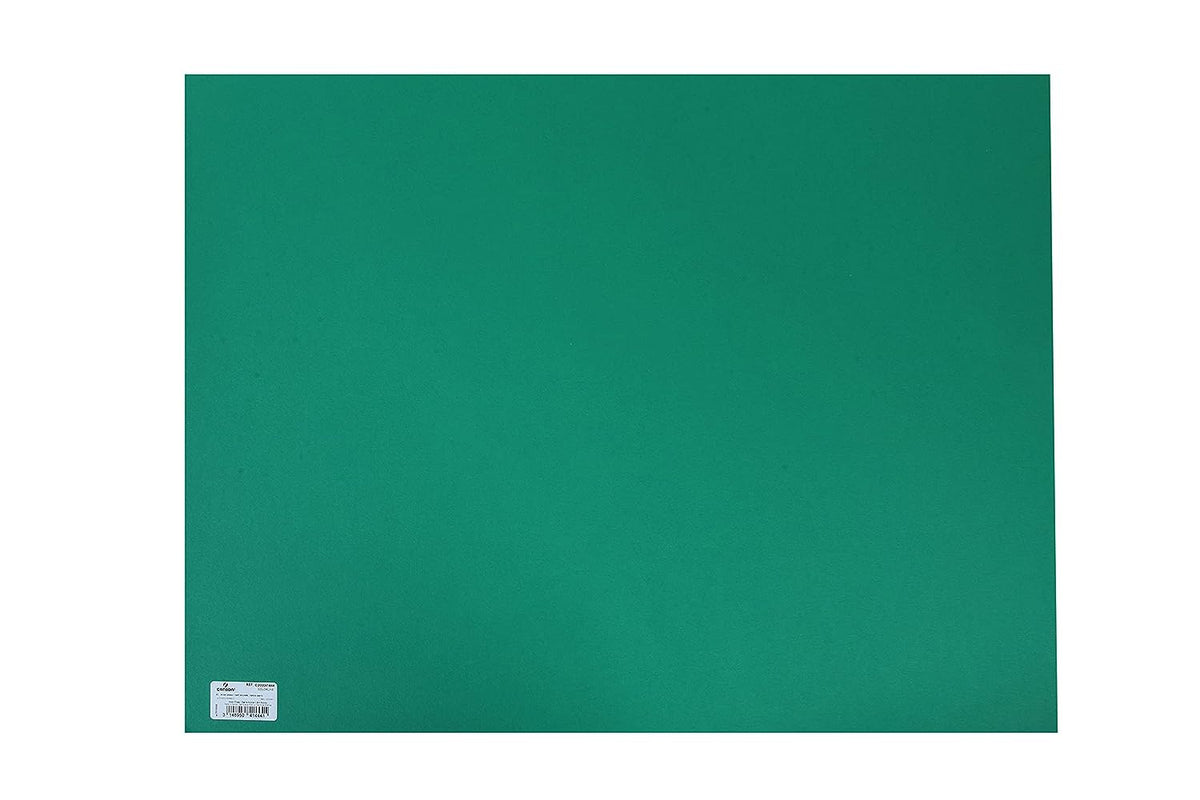 Canson Colorline 300 GSM Grainy 50 x 65 cm Coloured Drawing Paper Sheets(Moss Green, 10 Sheets)