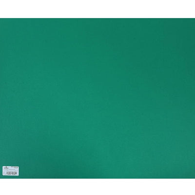Canson Colorline 300 GSM Grainy 50 x 65 cm Coloured Drawing Paper Sheets(Moss Green, 10 Sheets)
