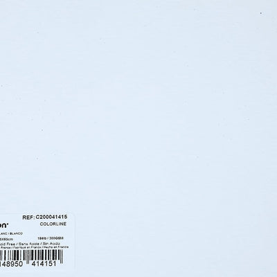 Canson Colorline 300 GSM Grainy 50 x 65 cm Coloured Drawing Paper Sheets(White, 10 Sheets)