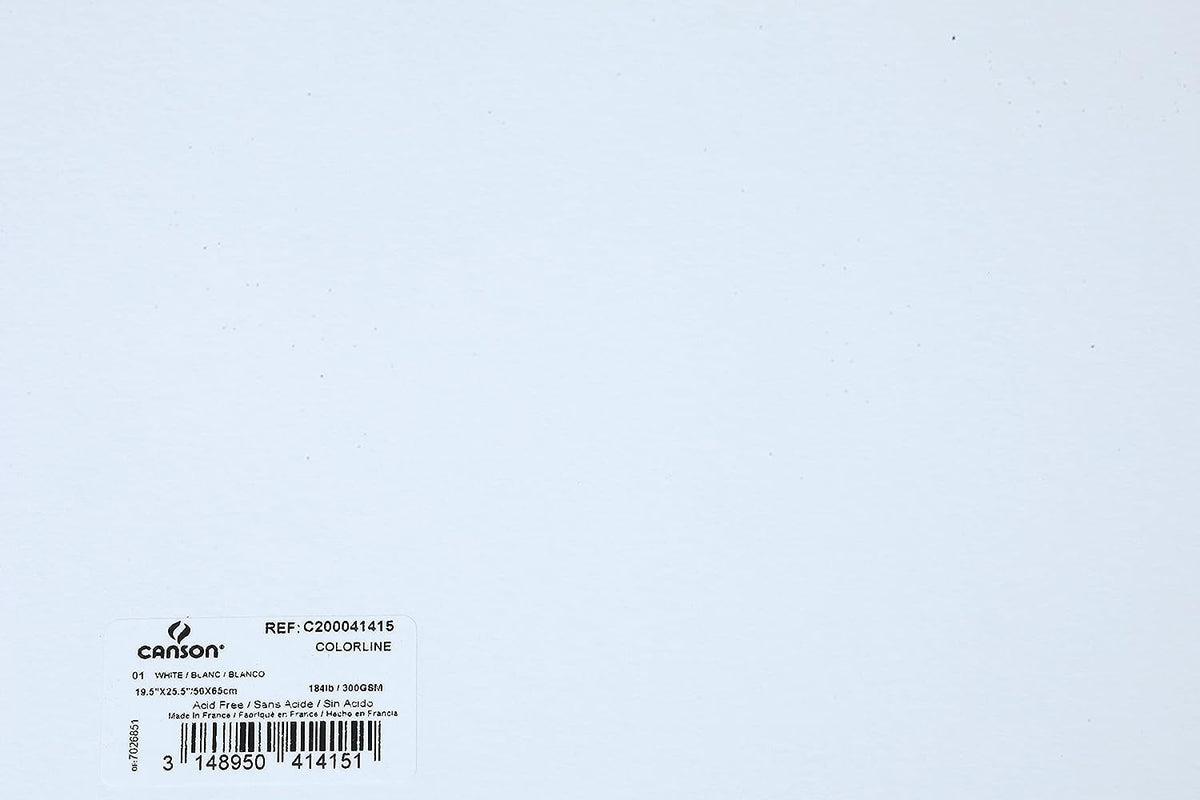 Canson Colorline 300 GSM Grainy 50 x 65 cm Coloured Drawing Paper Sheets(White, 10 Sheets)