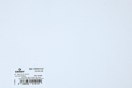 Canson Colorline 300 GSM Grainy 50 x 65 cm Coloured Drawing Paper Sheets(White, 10 Sheets)