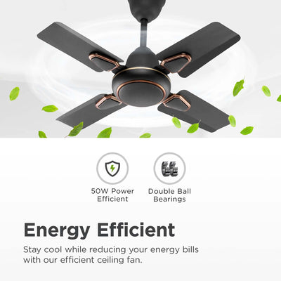 Candes Brio Turbo 600 mm /24 inch Small Ceiling Fans for Home | High Speed, Energy Saver, Noiseless | Small Ceiling Fan for Home, Kitchen Fan, Balcony & Small Room | 2 Yr Warranty | Smoke Brown