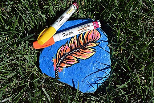 Sharpie Medium Tip Oil Paint Based Marker, Assorted, 5 Maekers