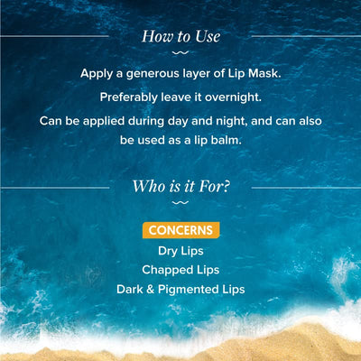Aqualogica Glow+ Plump Lip Balm with Papaya and Shea Butter - Lip Mask for Heals, Pigmented Lips & Hydrates Chapped Lips for Women & Men -15g