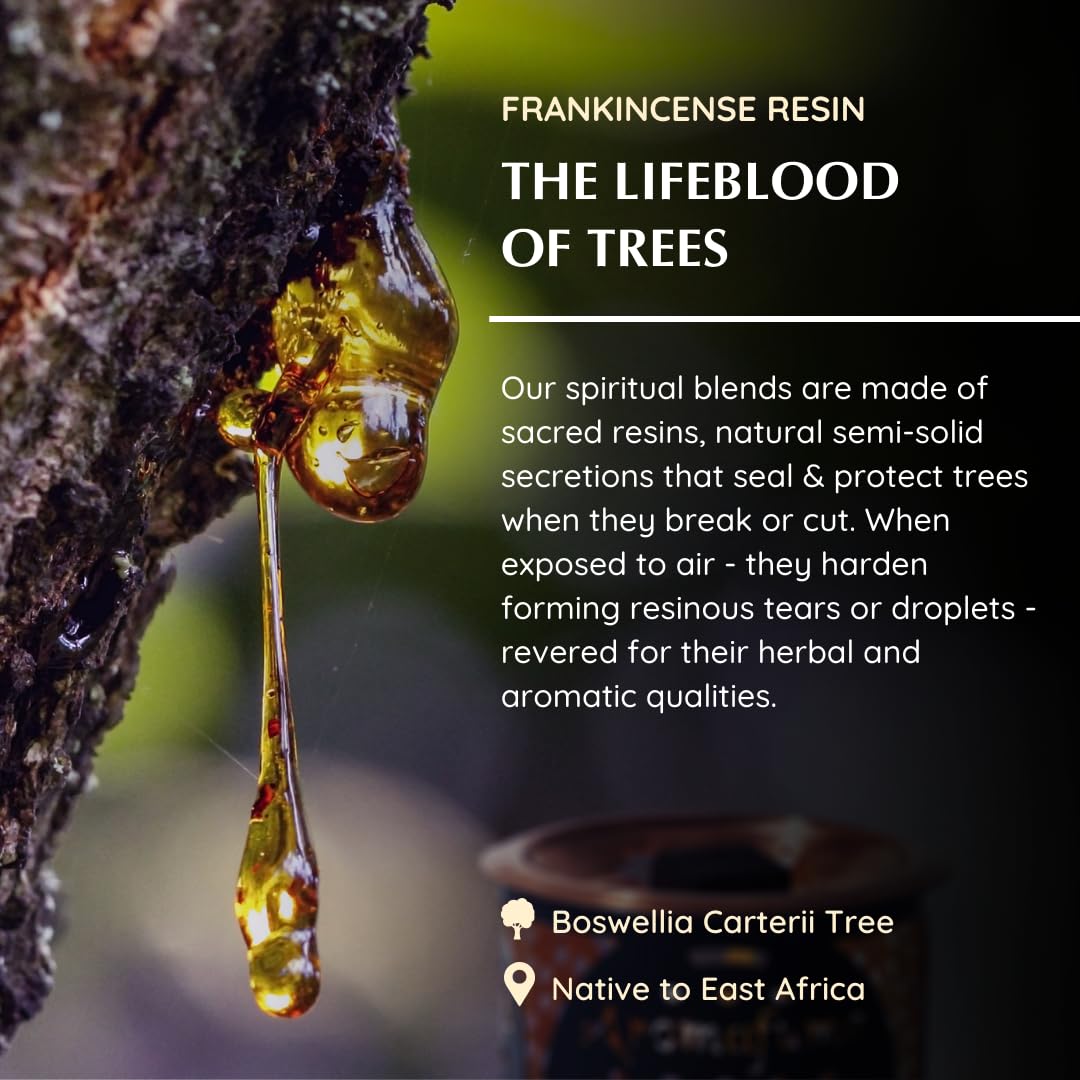 Aromafume Frankincense Incense Bricks Refill Pack | 3 Trays X 9 Bricks | Boswellia Carterii & Boswellia Serrata Extract, Native To East Africa & India | Calms & Relaxes | Low-Smoke & Non-Toxic