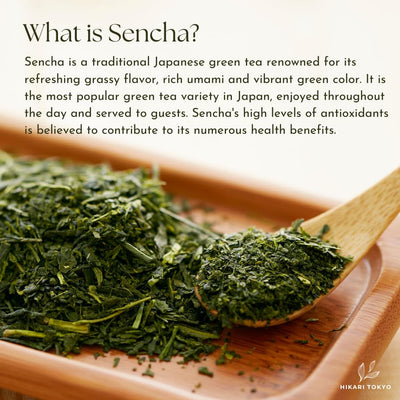 Hikari Tokyo Sencha Green Tea Loose Leaf | Premium Japanese Green Tea | Grown in Uji Kyoto |100% Pure and Authentic | Loose Leaf 100gm.