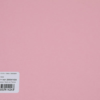 Canson Colorline 300 GSM Grainy 50 x 65 cm Coloured Drawing Paper Sheets(Rose Petal, 10 Sheets)