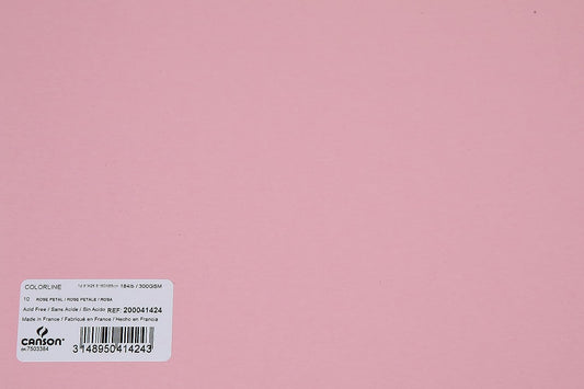 Canson Colorline 300 GSM Grainy 50 x 65 cm Coloured Drawing Paper Sheets(Rose Petal, 10 Sheets)