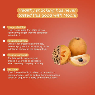 Moon Freeze Dried Chikoo | Healthy Chikoo Snack | 100% Natural, Vegan, No Preservatives, No Added Sugar | 16Gm | Pack of 01