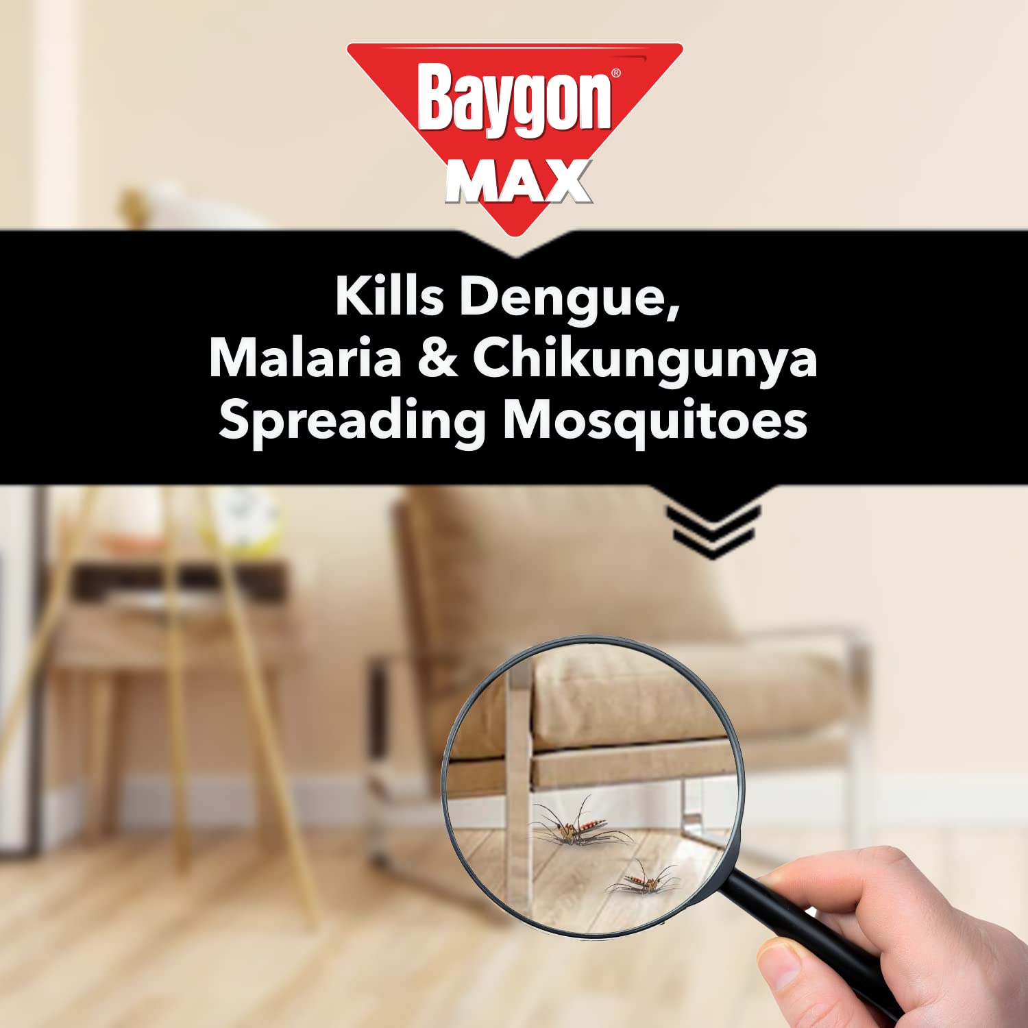 Baygon Mosquito & Fly Killer Spray- 400 ml, Green