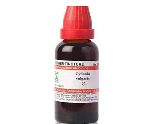 Dr. Willmar Schwabe India Cydonia Vulgaris Q 30ml