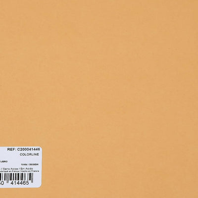 Canson Colorline 300 GSM Grainy 50 x 65 cm Coloured Drawing Paper Sheets(Leather, 10 Sheets)