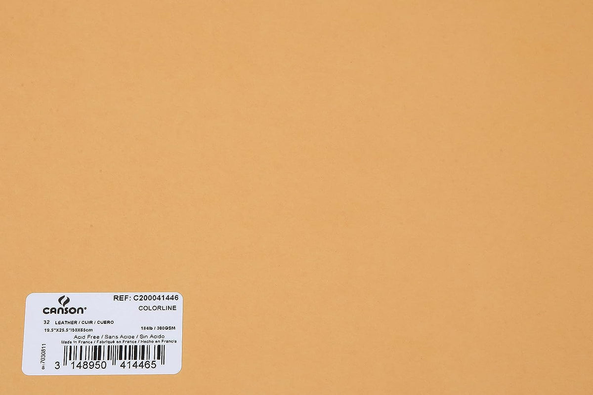 Canson Colorline 300 GSM Grainy 50 x 65 cm Coloured Drawing Paper Sheets(Leather, 10 Sheets)