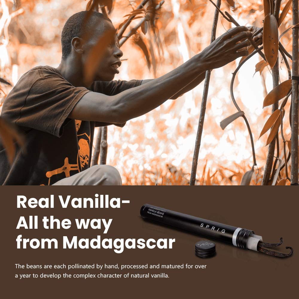 Sprig The World's Finest Vanilla Beans| Highest Grade Madagascar Vanilla Beans | Gourmet Vanilla Pods | Vanilla For Baking & Cooking | Make Home-made Vanilla Extract | 10 g (Pack Of 2)