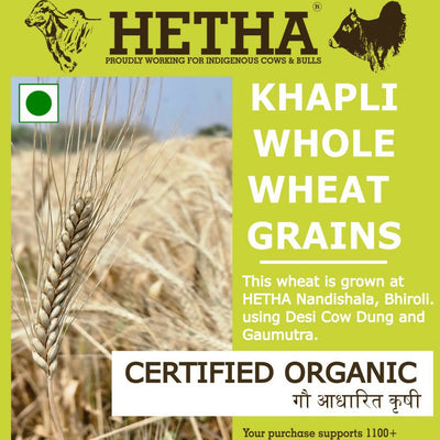 Hetha Khapli Whole Wheat Grains - Certified Organic by ECOCERT
