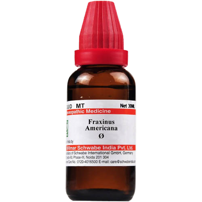 Dr. Willmar Schwabe India Fraxinus Americana Mother Tincture