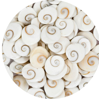 Certified Gomati Chakra Original River Stones - 11 Pieces Gomti Chakra Original from Gomathi River Dwarka (11 Pieces)