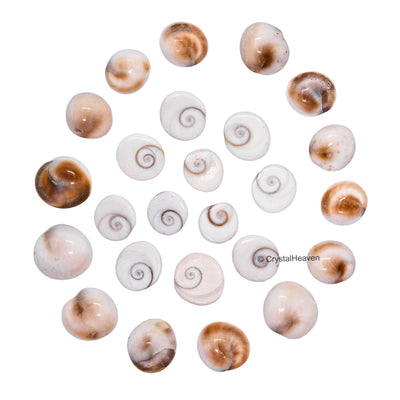 Certified Gomati Chakra Original River Stones - 11 Pieces Gomti Chakra Original from Gomathi River Dwarka (11 Pieces)