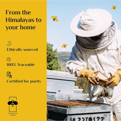 Honey Twigs Tasterz Honey Combo Pack Himalayan Multiflora, Natural Litchi, Cinnamon, Vanilla, Lemon and Turmeric Infused Honey : 3 Sachets x 6 flavors | 100% Natural & Traceable Source No Added Sugar
