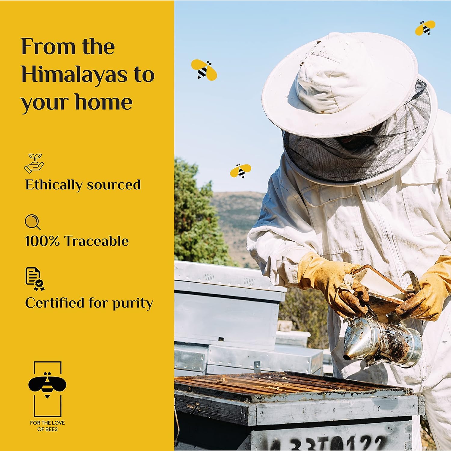 Honey Twigs Tasterz Honey Combo Pack Himalayan Multiflora, Natural Litchi, Cinnamon, Vanilla, Lemon and Turmeric Infused Honey : 3 Sachets x 6 flavors | 100% Natural & Traceable Source No Added Sugar