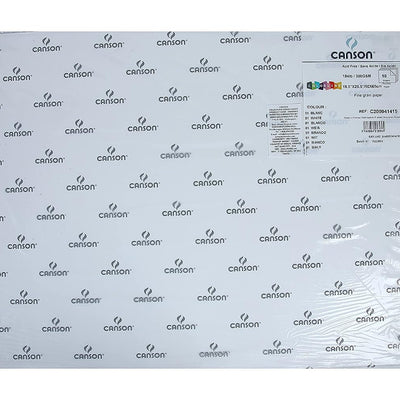 Canson Colorline 300 GSM Grainy 50 x 65 cm Coloured Drawing Paper Sheets(White, 10 Sheets)