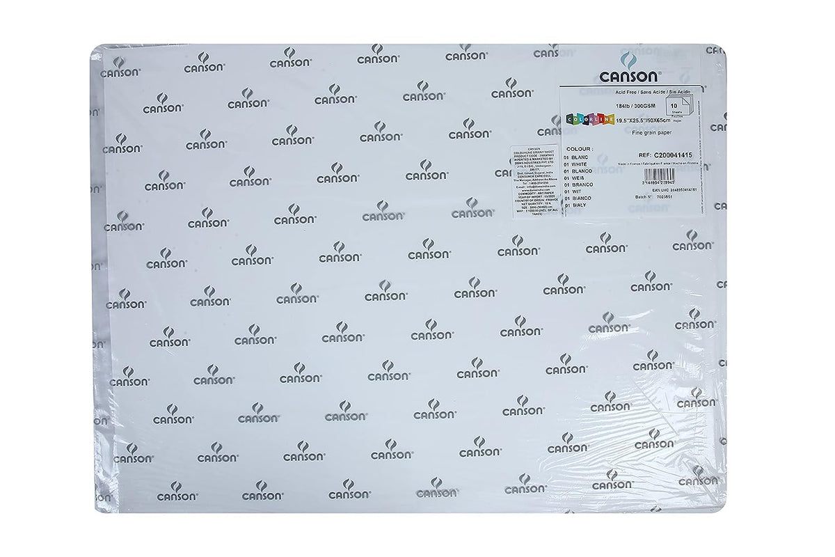 Canson Colorline 300 GSM Grainy 50 x 65 cm Coloured Drawing Paper Sheets(White, 10 Sheets)
