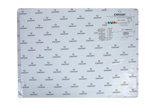 Canson Colorline 300 GSM Grainy 50 x 65 cm Coloured Drawing Paper Sheets(White, 10 Sheets)