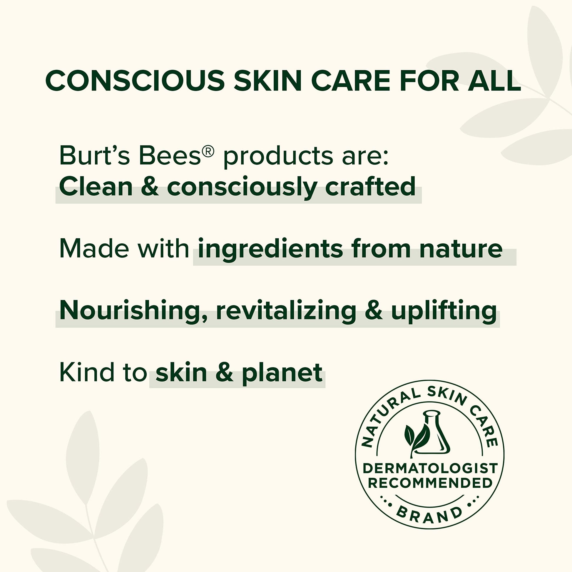 Burt's Bees Lip Balm, Beeswax, 0.15 oz, Transparent