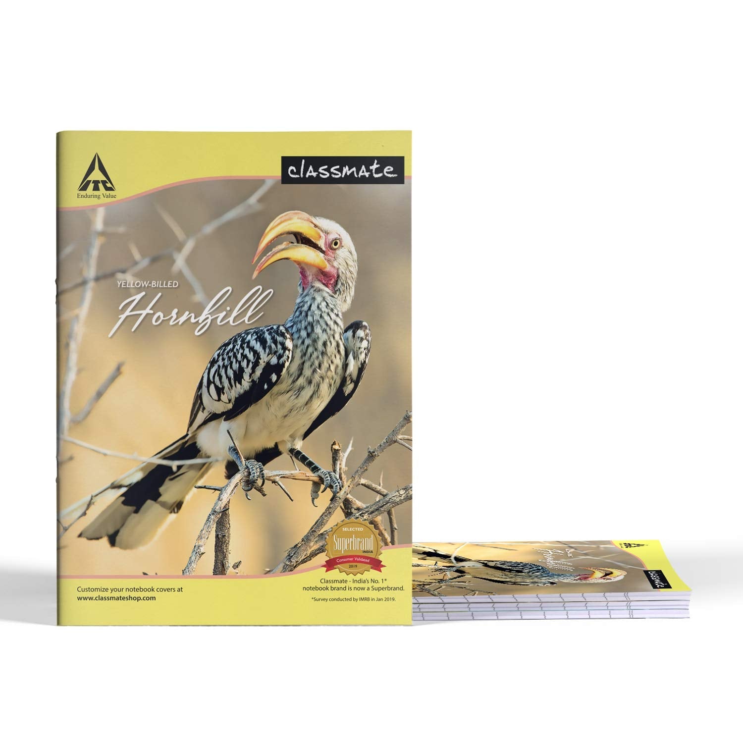 Classmate Notebook 172Pages (24 X 18cm), 210GM