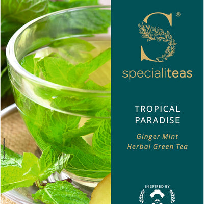 Cherise Specialiteas Tropical Paradise Ginger Mint Herbal Green Tea (2 g x 25 Pyramid Tea Bags)