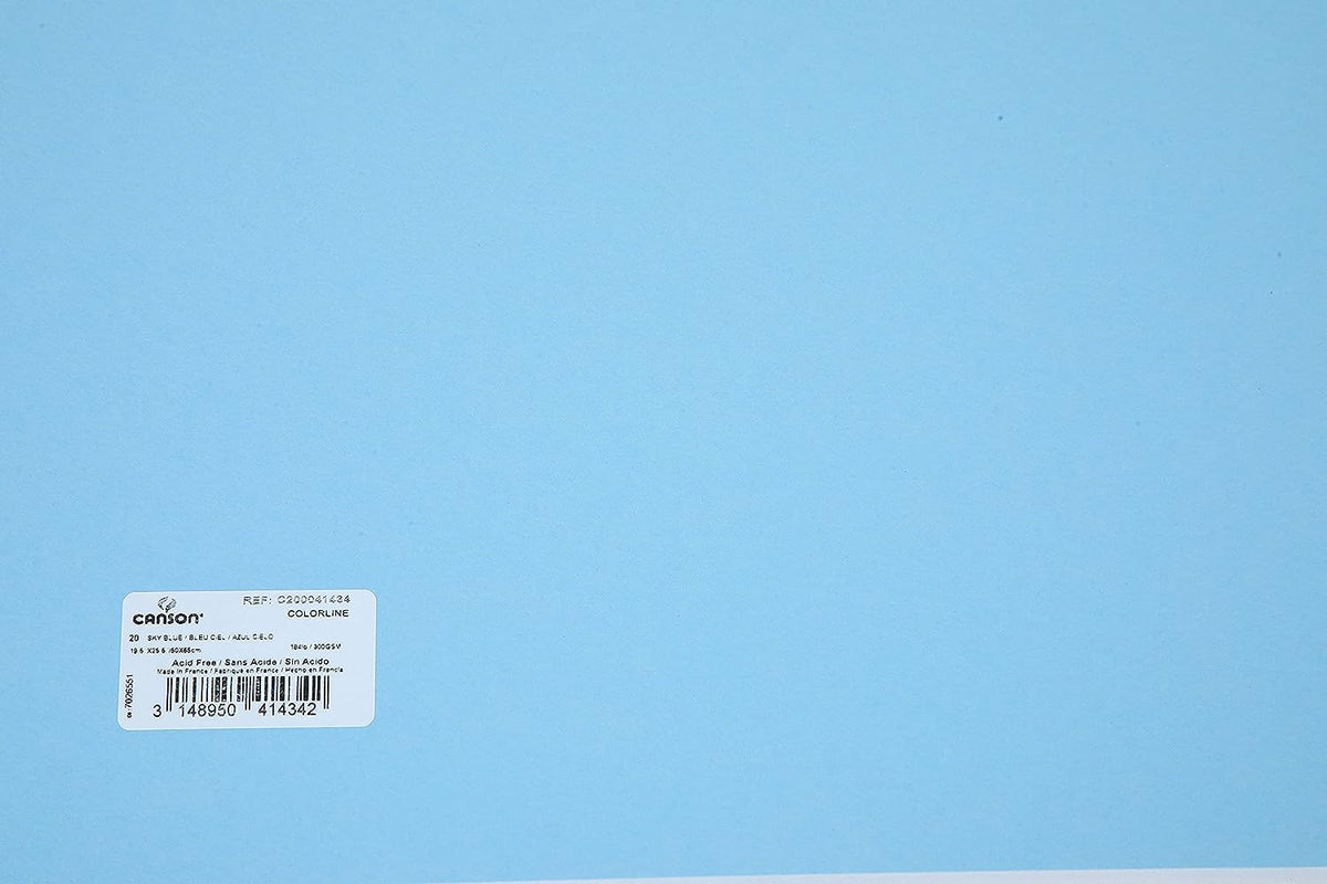 Canson Colorline 300 GSM Grainy 50 x 65 cm Coloured Drawing Paper Sheets(Sky Blue, 10 Sheets)