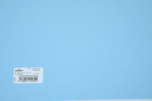 Canson Colorline 300 GSM Grainy 50 x 65 cm Coloured Drawing Paper Sheets(Sky Blue, 10 Sheets)