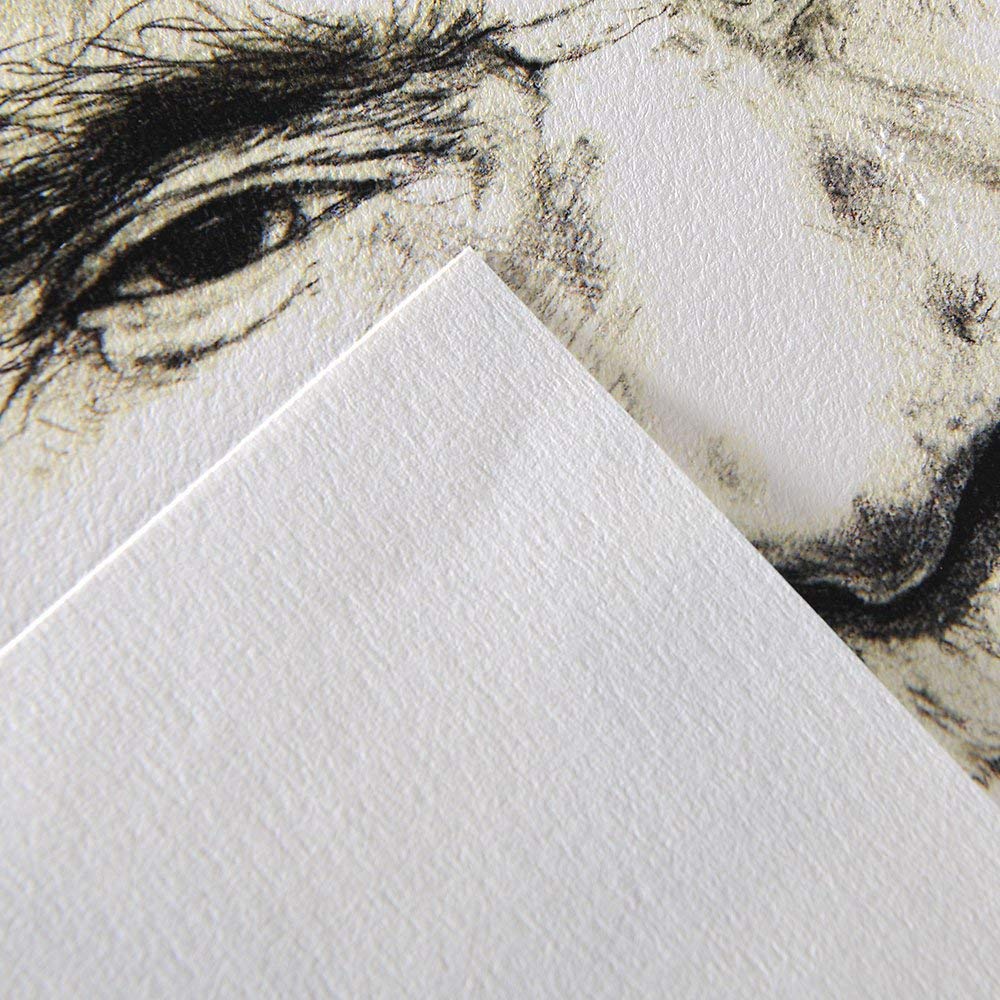 Canson C à Grain Drawing 125 GSM Fine Grain A4 Paper Sheets (Natural White, 10 Sheets xPack of 3) (CN200021119P3)