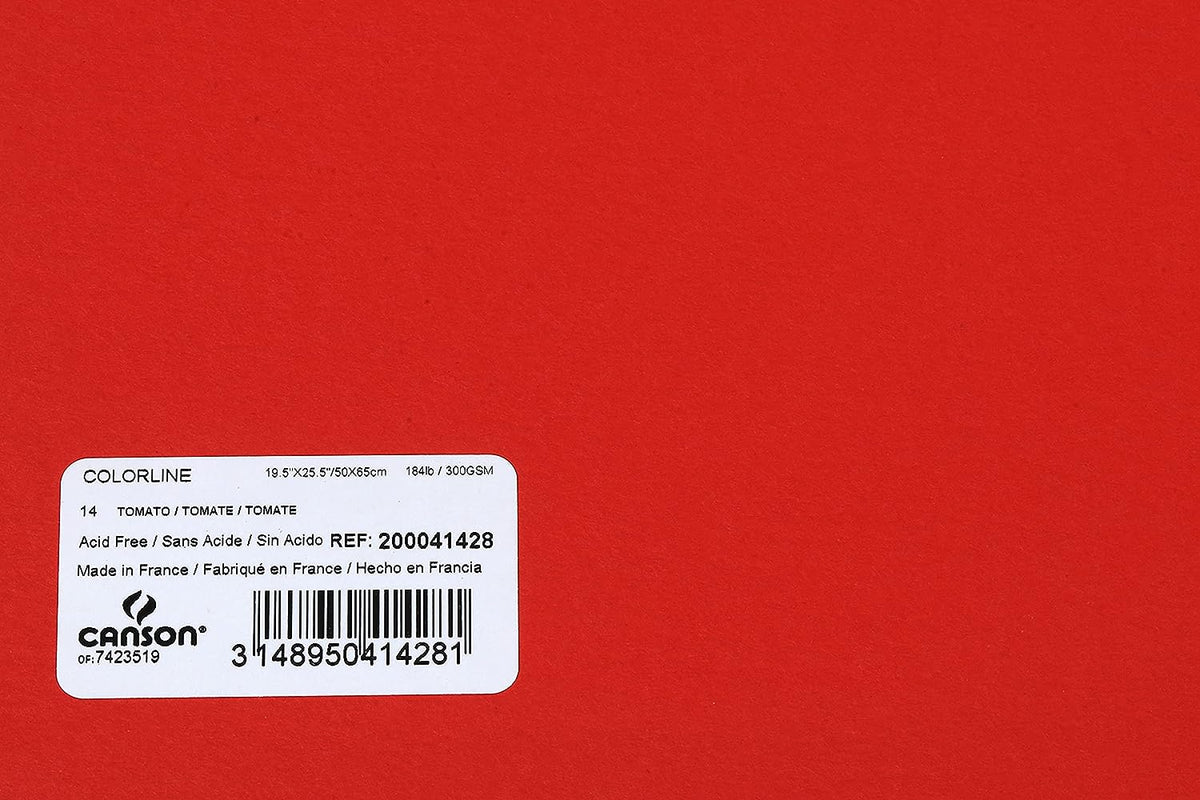 Canson Colorline 300 GSM Grainy 50 x 65 cm Coloured Drawing Paper Sheets(Tomato, 10 Sheets)