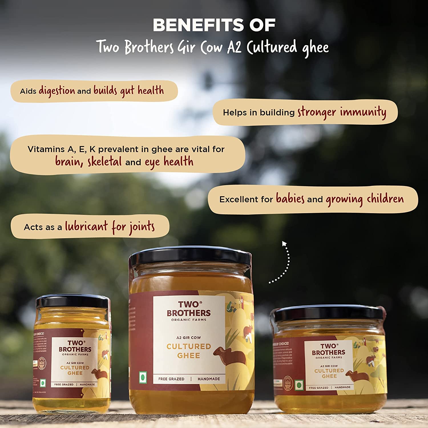2x Two Brothers Organic Farms - A2 Ghee - Pack of 2 (500 ml each) | Cultured Cow Desi Ghee | Curd-Churned Bilona Ghee  | Grass-Fed A2 Gir Cow Ghee