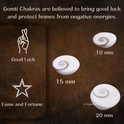 Certified Gomati Chakra Original River Stones - 11 Pieces Gomti Chakra Original from Gomathi River Dwarka (11 Pieces)