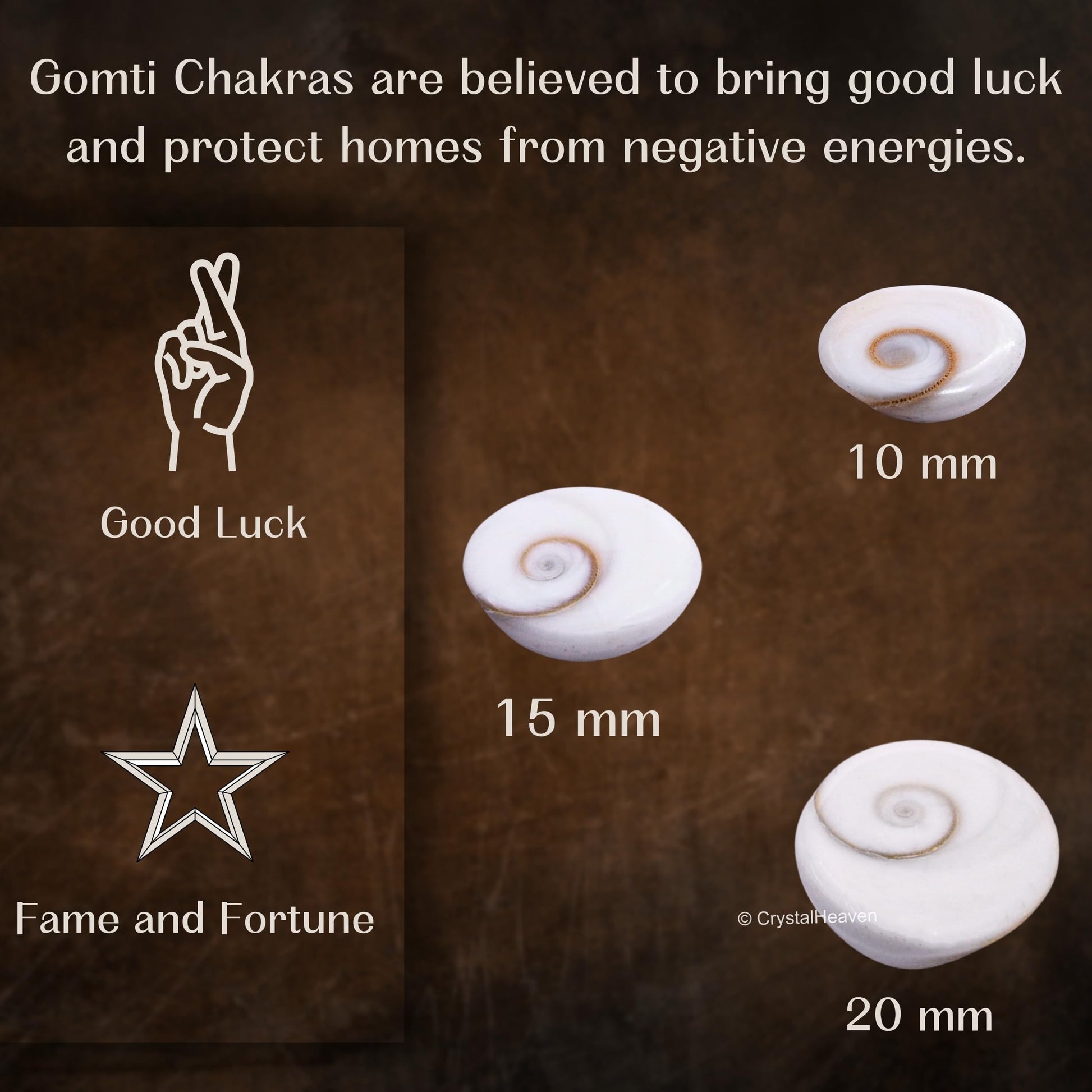 Certified Gomati Chakra Original River Stones - 11 Pieces Gomti Chakra Original from Gomathi River Dwarka (11 Pieces)