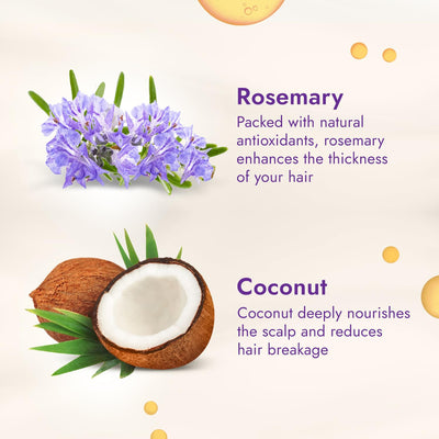 Parachute Advansed Rosemary-enriched Coconut Hair Oil| Rosemary Hair Oil| Superfoods’ Magic| Long & Thick Hair|300 Ml