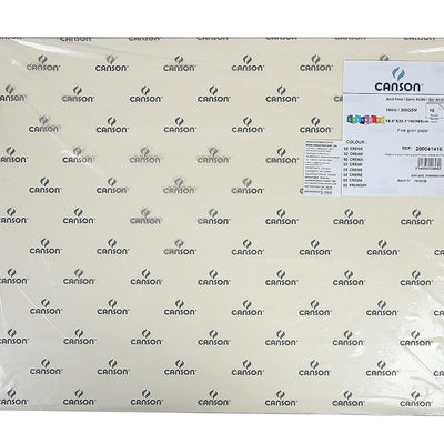 Canson Colorline 300 GSM Grainy 50 x 65 cm Coloured Drawing Paper Sheets(Cream, 10 Sheets)