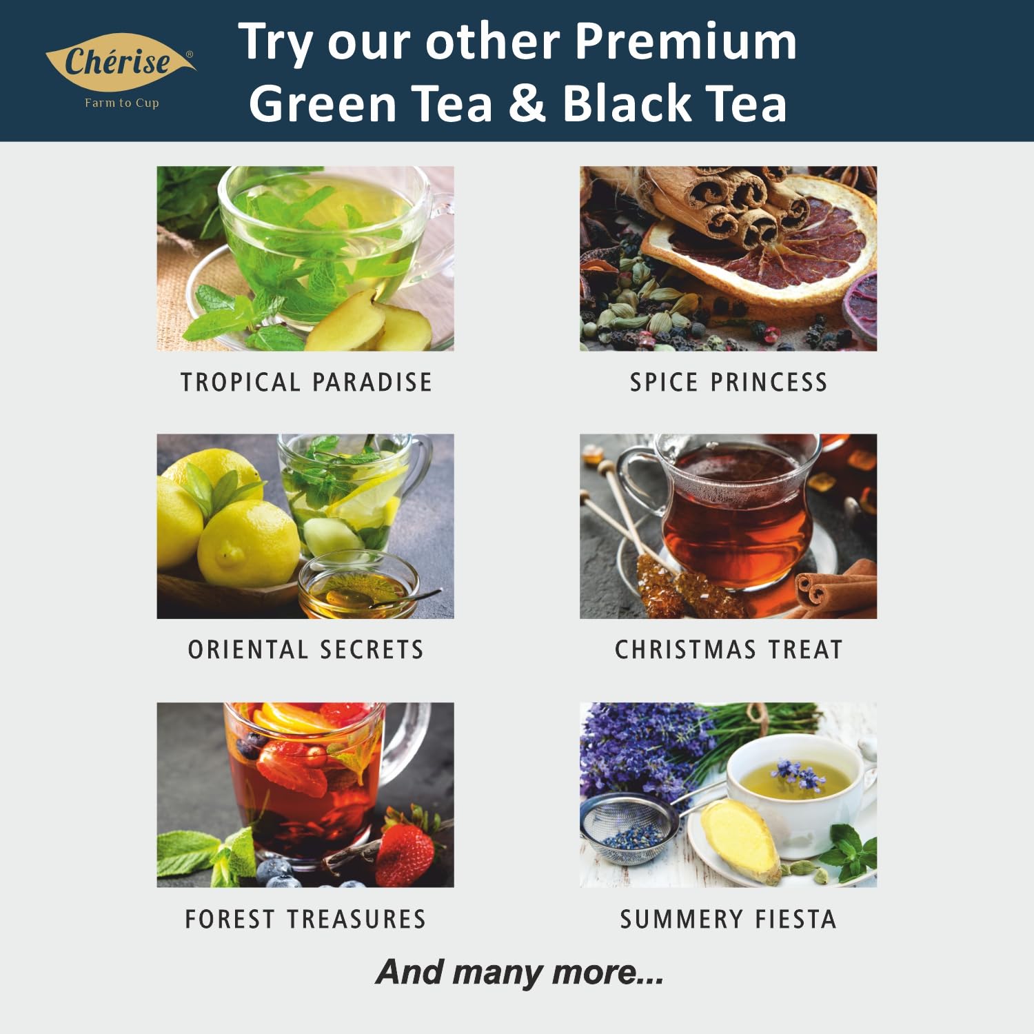 Cherise Specialiteas Bombay Beauty Cardamom Ginger Herbal Black Tea (2 g x 25 Pyramid Tea Bags)